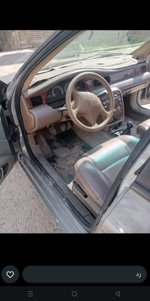 شاهين شام 2009 - صورة 3