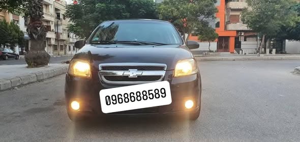 شفر افيو 2008 - صورة 1