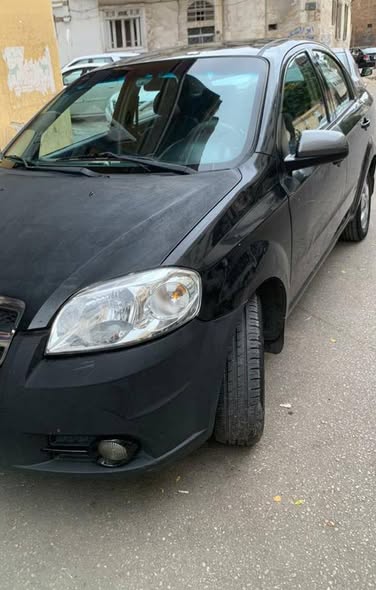 شفر افيو 2008 - صورة 3