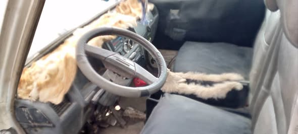 شانا كرت 2007 - صورة 1