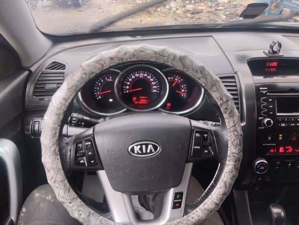 كيا سيرته 2010 - صورة 3