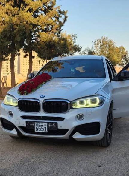 بي_ام_دبليو x6 M Power 2015 - صورة 2