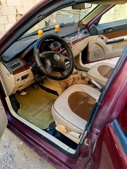 جيلي سكي ون 2005 - صورة 4