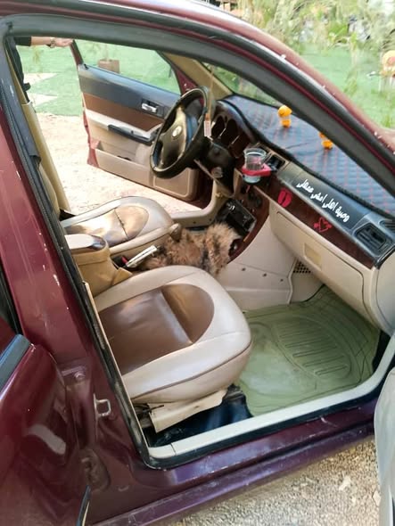 جيلي سكي ون 2005 - صورة 5