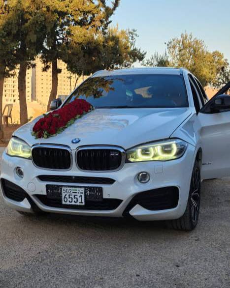 بي_ام_دبليو x6 M Power 2015 - صورة 1