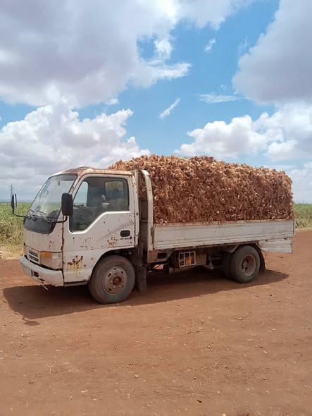 جاك 1040 2004 - صورة 3