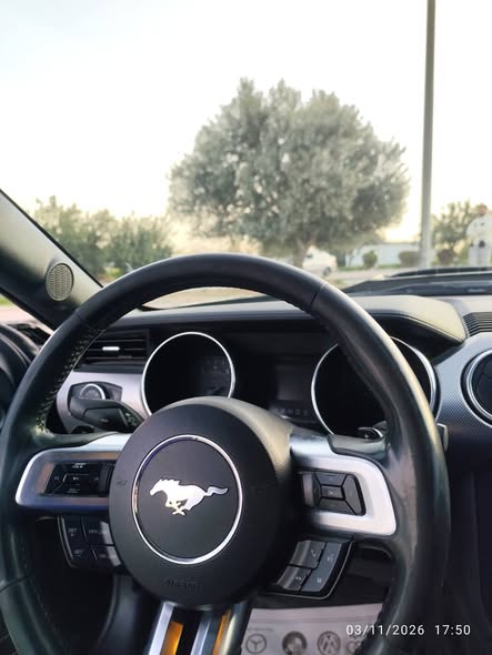 فورد موستنج GT 2018 - صورة 4