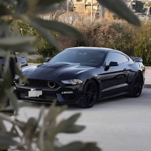 فورد موستنج GT 2018 - صورة 5