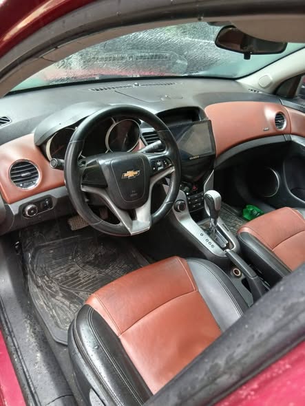 شفر كروز 2010 - صورة 2