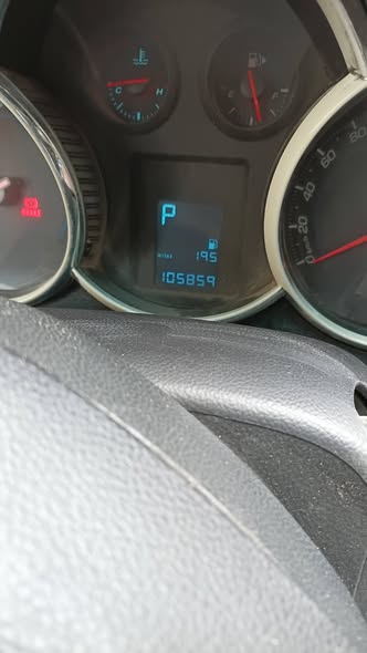 شفر كروز 2010 - صورة 1