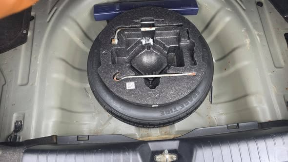 افانتي افانتي اوربي 2010 - صورة 2