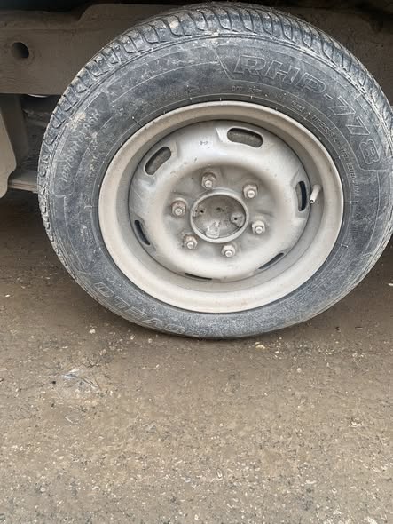 شيري كرت 2011 - صورة 2