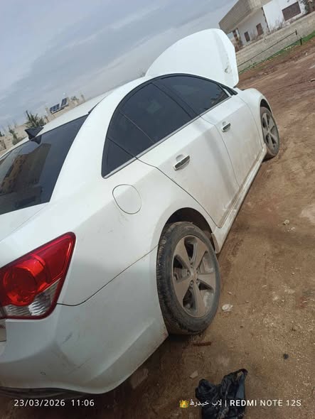 شفر كروز 2014 - صورة 2