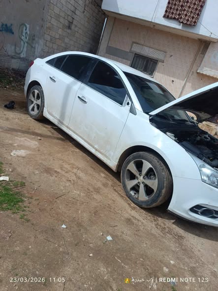 شفر كروز 2014 - صورة 3