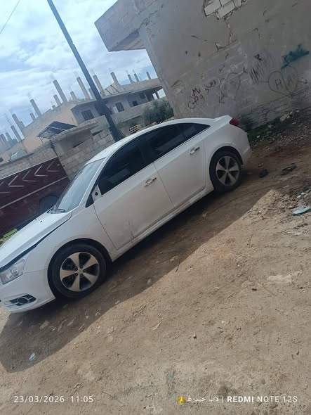 شفر كروز 2014 - صورة 4