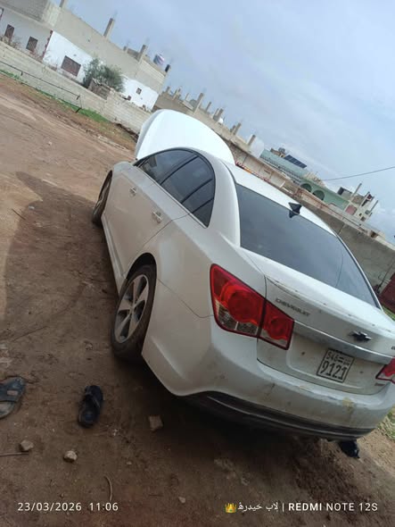 شفر كروز 2014 - صورة 5