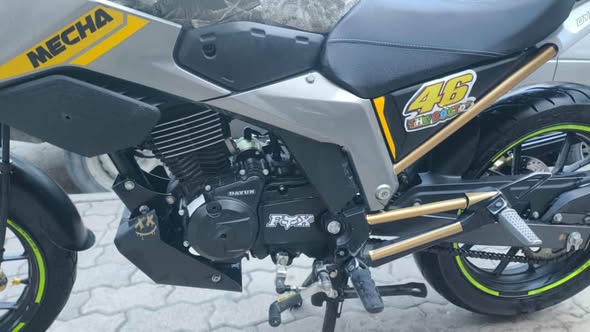 دايون أباتشي 2024 - صورة 4