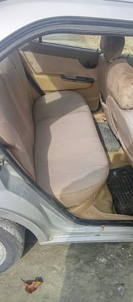 Chana Gala 2009 - صورة 2