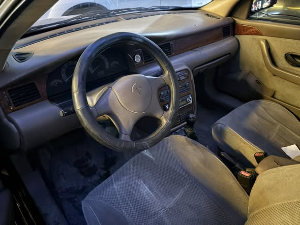 شام شام 2007 - صورة 3