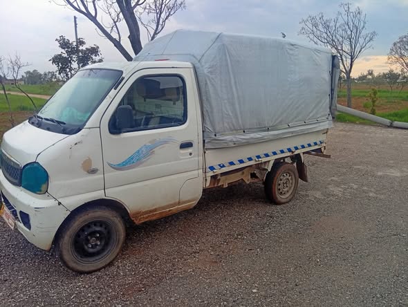 شأنا ستار 2006 - صورة 3