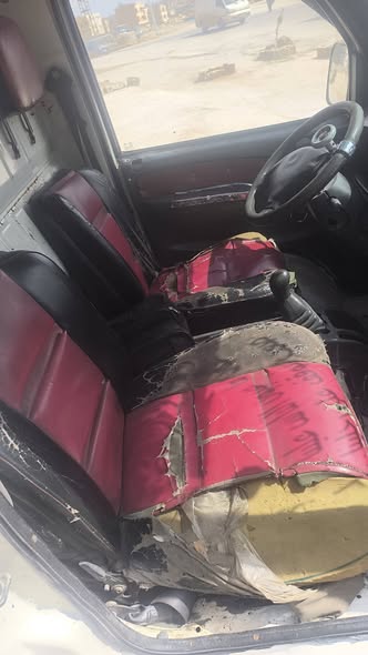 دونغ فينج سونغ 2009 - صورة 1