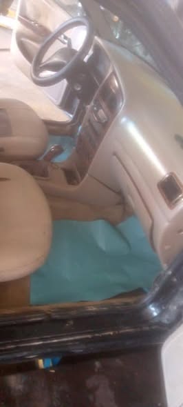 شيري شمعة رفيعة 2001 - صورة 3