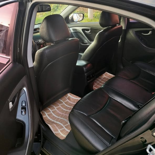 هيونداي النترا 2014 - صورة 4