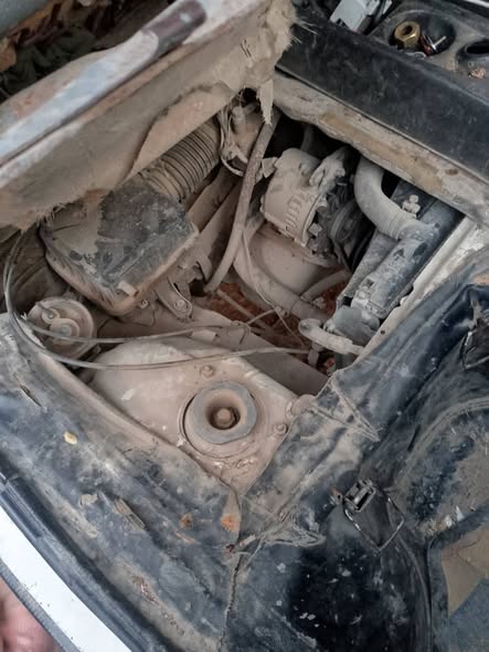 سوزوكي سونك 2005 - صورة 5