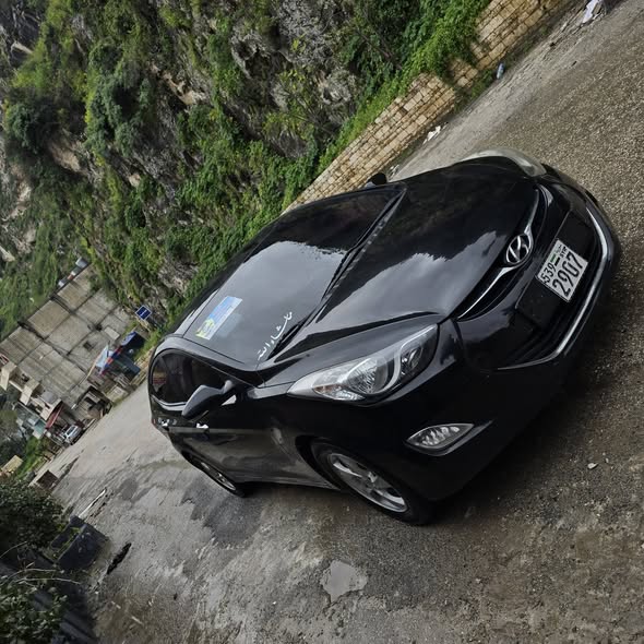 هيونداي النترا 2013 - صورة 2