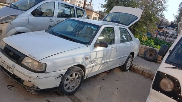 شيري شمعه عريضه 2005 - صورة 5