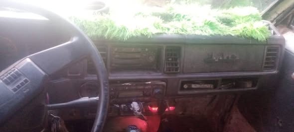 Daihatsu Towner 1977 - صورة 3