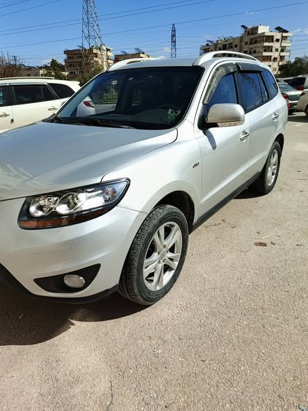 SM كرت 2010 - صورة 3