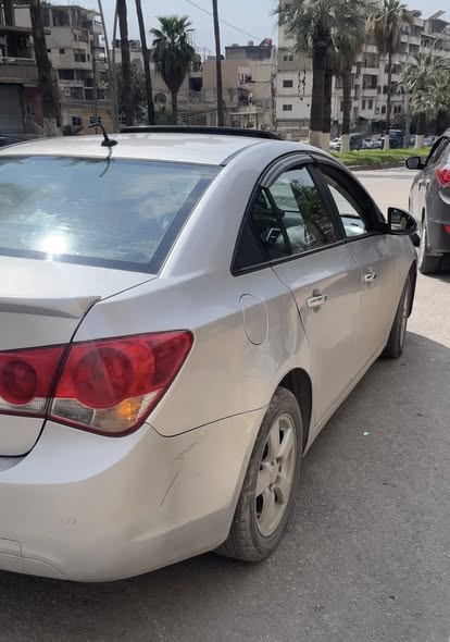 شفر كروز 2010 - صورة 4