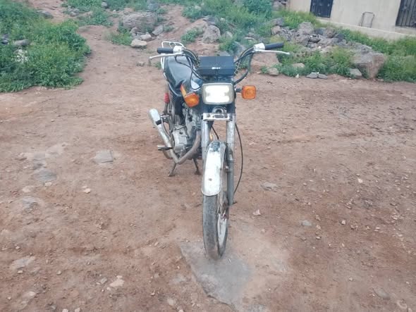 شا نة سابا 2010 - صورة 2