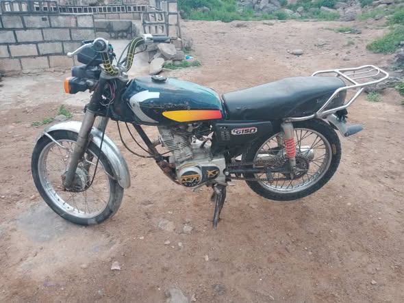 شا نة سابا 2010 - صورة 3