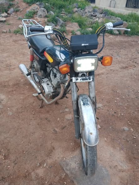 شا نة سابا 2010 - صورة 4