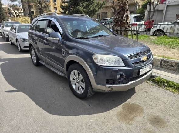 شفر كابتيفا 2007 - صورة 2