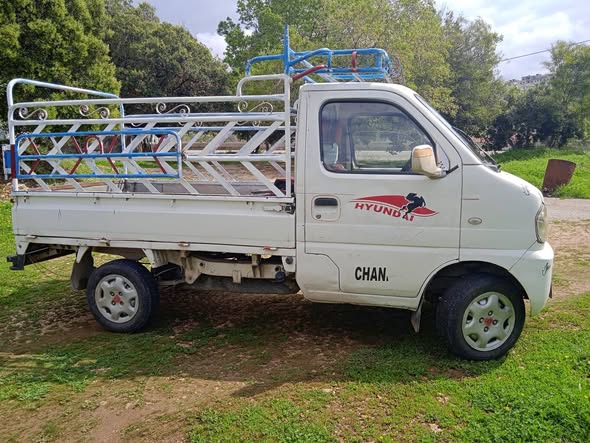 شانا ستار 2006 - صورة 2