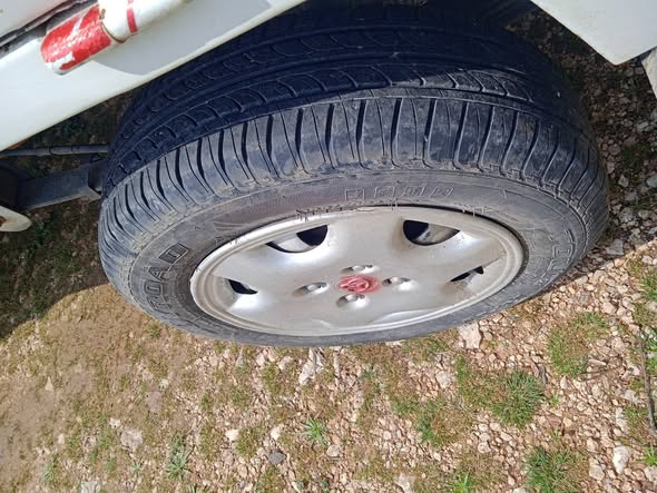 شانا ستار 2006 - صورة 4