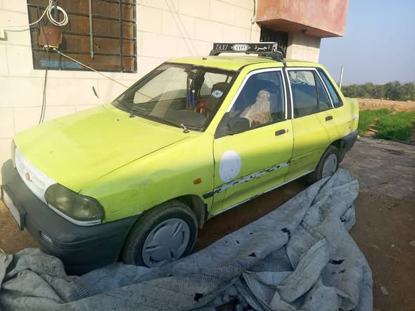 سآبا 131 2012 - صورة 3