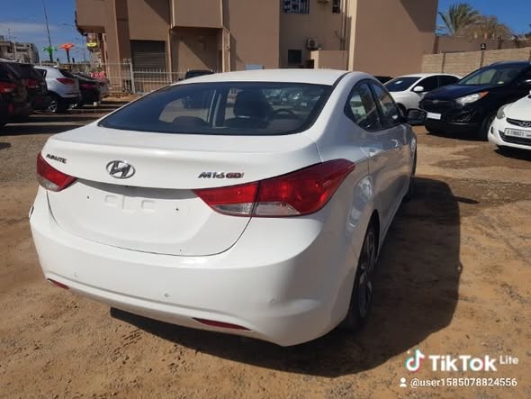 هواندي لنتر 2012 - صورة 3