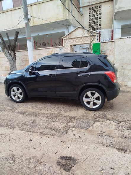 شفر تركس 2013 - صورة 4