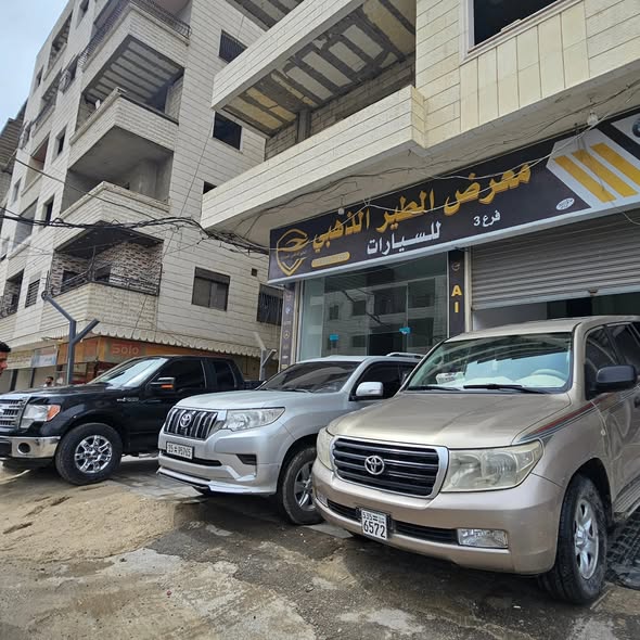 تويوتا لاند كروزر 2008 - صورة 2