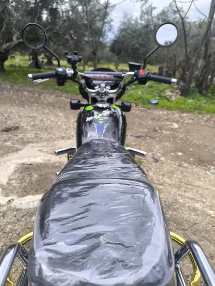 عسكر عسكر 2024 - صورة 4