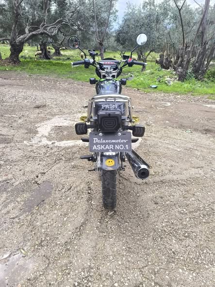 عسكر عسكر 2024 - صورة 5