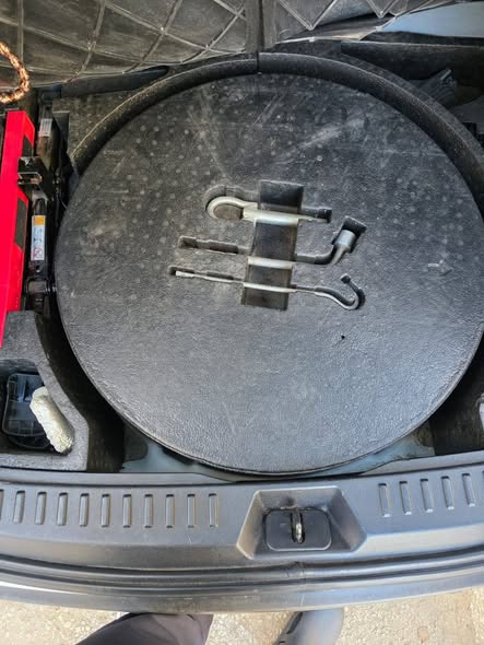 فاو 80x 2019 - صورة 3