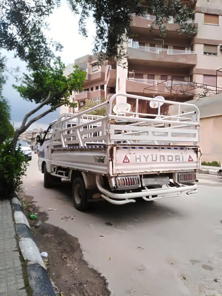 هونداي H100 1998 - صورة 5