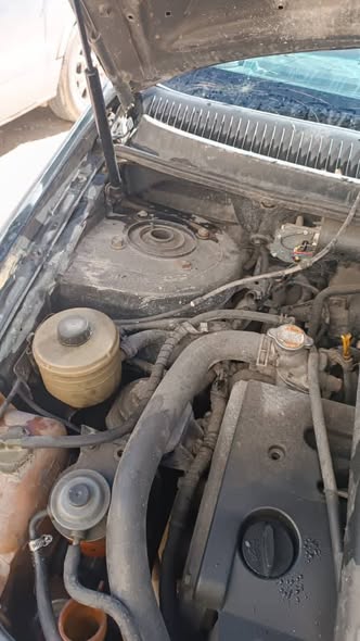 كيا كرنفال 2006 - صورة 5