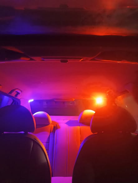 شانا عمومي 2008 - صورة 1