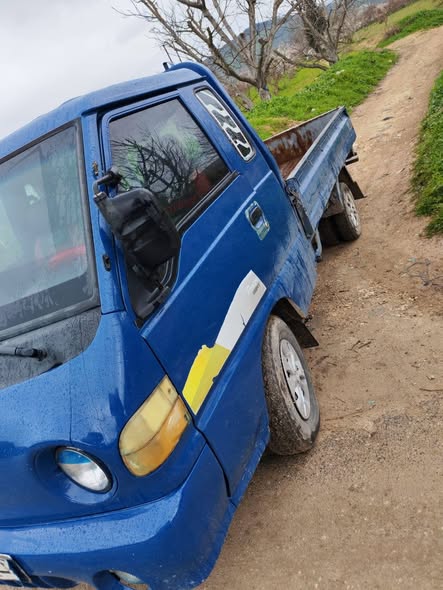 هيونداي بورتر 2001 - صورة 2